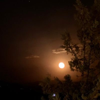 JackinheBox's profile picture. Foreign analyst