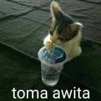 MorenoKatinho90's profile picture. 