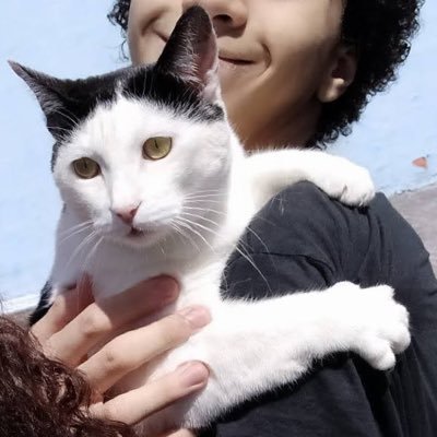 florestaefogo's profile picture. i was young and sweet and then something happened | ele/ela, não binário