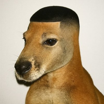 gcn10x's profile picture. none