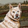 montyreport's profile picture. life enthusiast