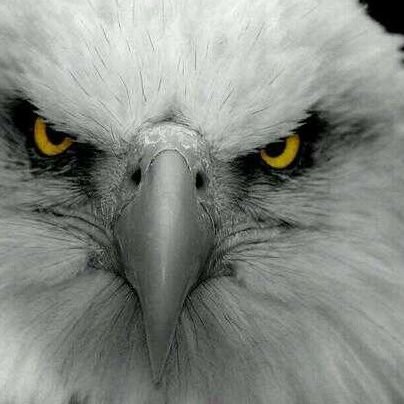 DewaltRoger's profile picture. 45y Ret Trucker #Patriot #WoodWorker #AmericaFirst
Unapologetically Caucasian fd @RealJamesWoods @CherieCurrie3 @catturd2 @GuntherEagleman 
@SteveBaker #MAGA