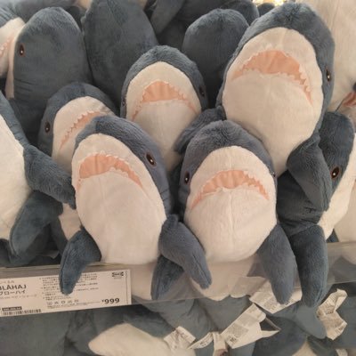 hayakuyasetai52's profile picture. ♀