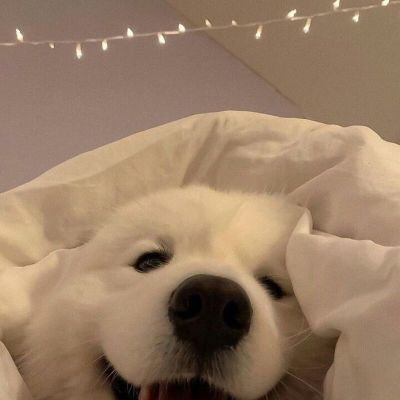 chvghgfjb79438's profile picture. 