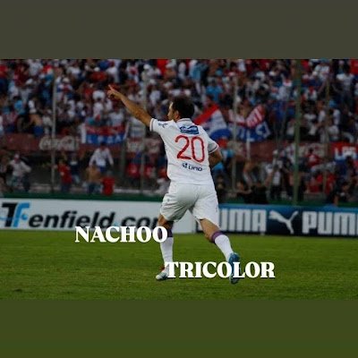 nachootricolor_'s profile picture. Locura Nacional ❤️🤍💙
