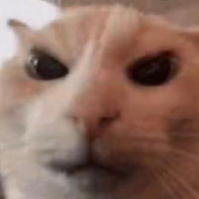 UBiscoe37937's profile picture. main got suspended, took months break from web3, but back now. kindly follow. i’d do same