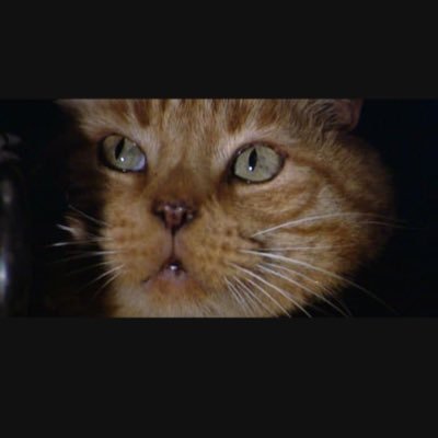 NostromoCat23's profile picture. 