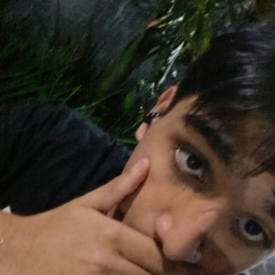 A2Paralelo's profile picture. 