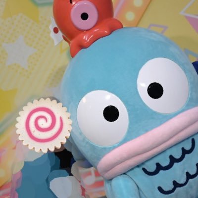 hg_xo21r's profile picture. ハンギョドンとばつ丸🫶❤️‍🔥 🔑垢からの無言フォローはブロ解してます。無言でのフォローには反応してません…🙏