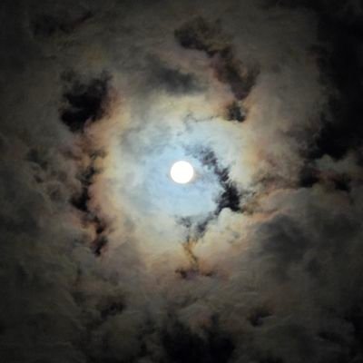 gobigorgohome71's profile picture. Titans, Longhorns, Bluedevils, Celtics, Braves, converted predators fan. father of three young men and the best wife on Earth. Thank God for all he has given me