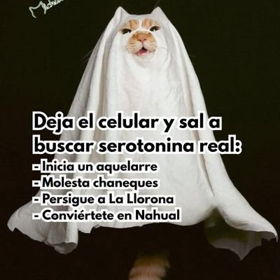 Dra_B12's profile picture. 