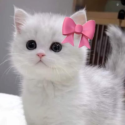 Addison95378's profile picture. Many of life’s failures are people who did not realize how close they were to success when they gave up.