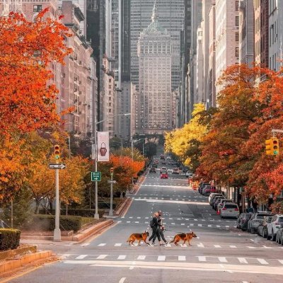 davdfsgd's profile picture. 📍アメリカ在住｜日本語勉強中
📸 FUJIFILM X-T50
風景写真を気ままに撮ってシェアしています。
アカウント運営はゆるめです☕️