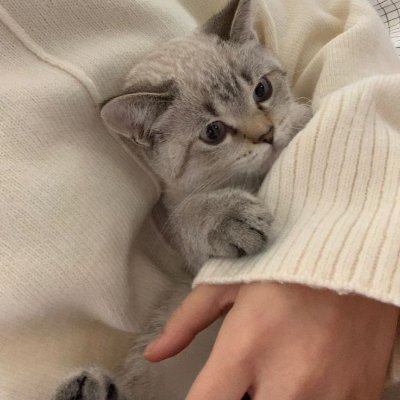 elena777500's profile picture. Kindness, intelligence, and self-love create a life filled with harmony and inspiration. Every action reflects inner strength 💛