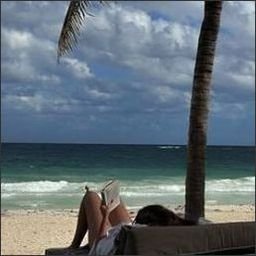 fishbaugh712950's profile picture. Finding joy in the little things.