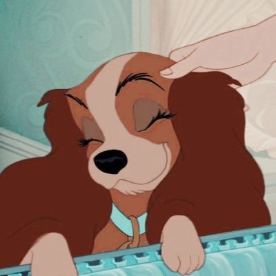 kkwansrii_'s profile picture. 