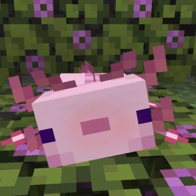 HNouha39127's profile picture. love's all we got