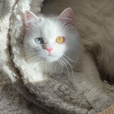 Autumn965414's profile picture. If you can’t explain it to a six-year-old, you don’t understand it yourself.