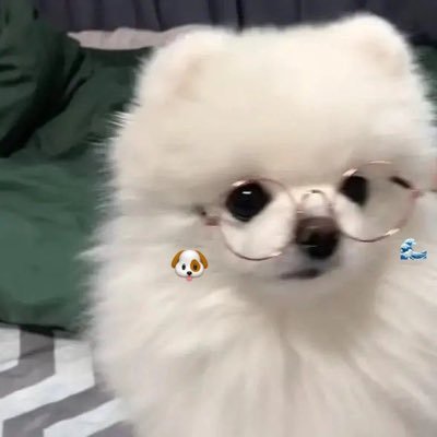 @Mimxwj