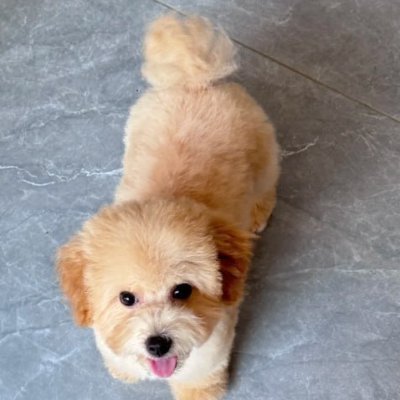 zara6622's profile picture. Without history, humanity drifts without wisdom or direction only memory gives meaning to progress. 🚀