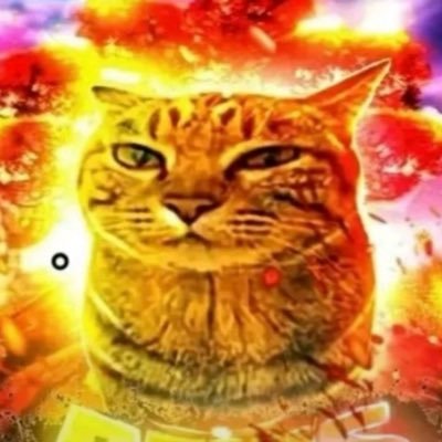 cheffishrbx's profile picture. i do project managing, UI, and game design he/him discord: cheffish