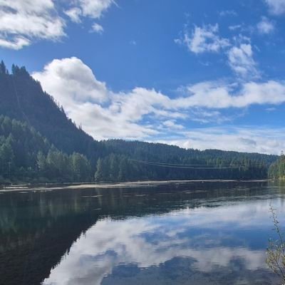 IrishJourdan's profile picture. Independent. Live in the once beautiful Pacific Northwest, which is now a  cesspool of stupid .