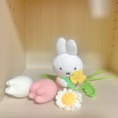 ____lemoco's profile picture. CLAMP作品がわたしのいちばんです🌸クリアカード編2期一生待ってる