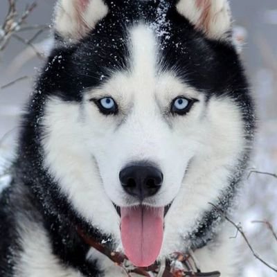 BybrsJwkha98791's profile picture. 