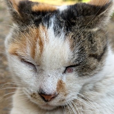 tWKZ0I1wYd95333's profile picture. 