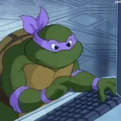 @tortugo_333