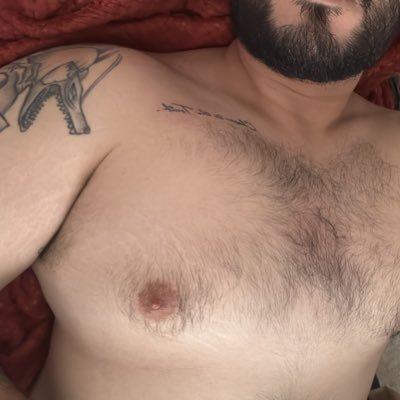 Safadinho_Bear's profile picture. 