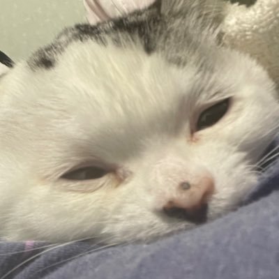 サンケさんのプロフィール画像