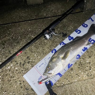 kyosukef2's profile picture. 長崎県内メインでシーバスをメインで狙って活動してます！たまに磯へ行きヒラスズキも狙いに行っております！メーターオーバーのスズキとテスターへなれるように活動頑張ります！無言フォロー失礼いたします！