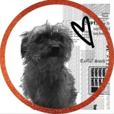 lifeofashowboy1's profile picture. Christian, Swiftie, Disney Fanatic, Chiefs Fan. TN x1 (11/11/24) #TSTheLifeofaShowgirl❤️‍🔥🧨                     ISO: Tloas Signed Photo #3