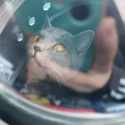 er_hui45607's profile picture. 