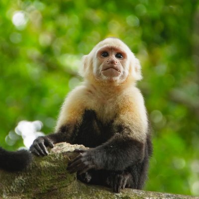 Simonbenne53747's profile picture. 