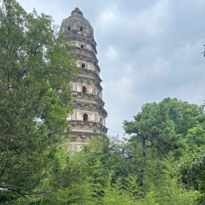 waynekim001's profile picture. 