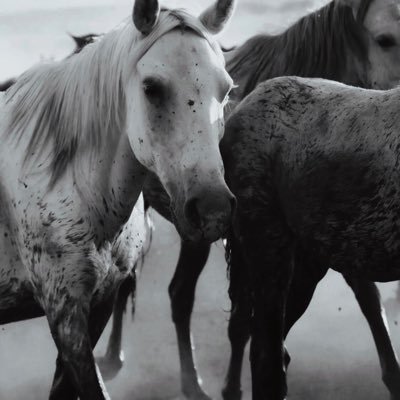 PauloVidal94337's profile picture. I'm just a silly @DogecoinFdn Dev that loves to think out of the box  🤪

Doge Coin tips are welcome: 
https://t.co/eXp7ffwKZE