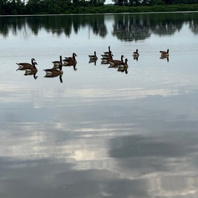 BlueKC96735648's profile picture. 