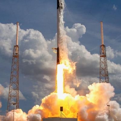 maye39688's profile picture. Elon Mom