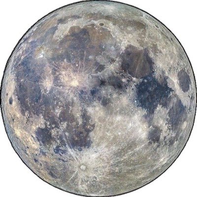 _gvhp1's profile picture. 𝟢𝟪" バニファミ ふぁんくらばー ✮៹·*