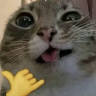 girlbossjuliaa's profile picture. •valkyrae and clown enthusiast•