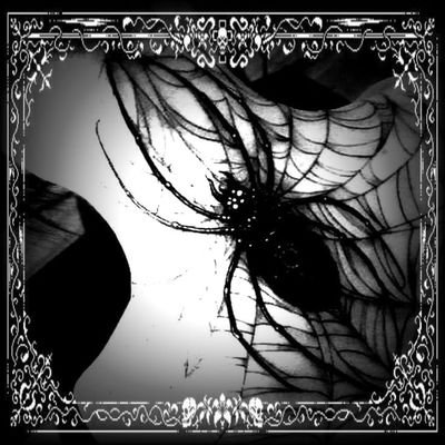 TyraH81205's profile picture. 