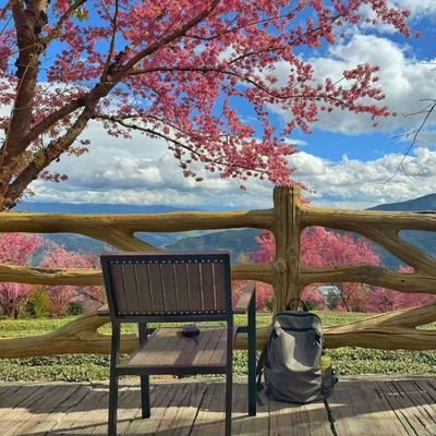 onlyloveu521's profile picture. 