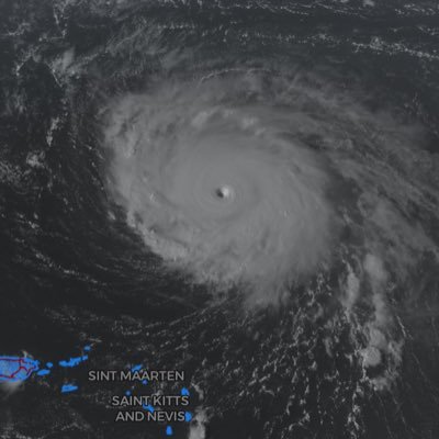 wx_sammy's profile picture. 