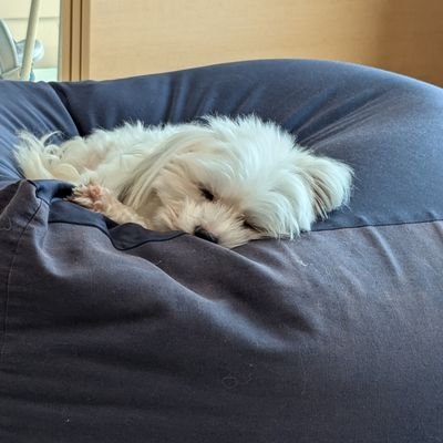 Ozw4Fi's profile picture. 情報収集用アカウント