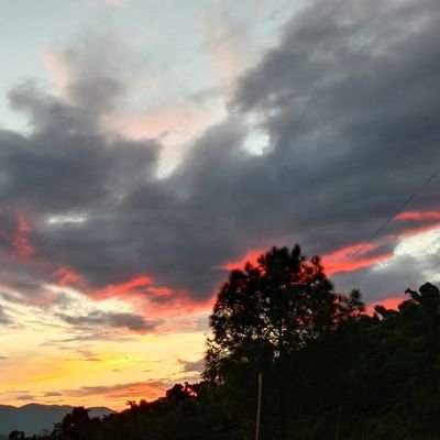 theetherkind's profile picture. 