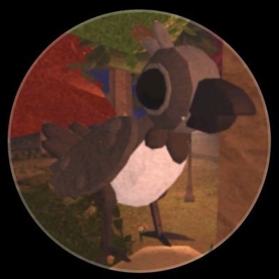 ZeroDx25's profile picture. dor👍