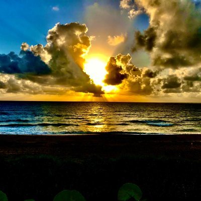 Kara16888's profile picture. Traveling, food and massage are my favorites and I love learning and trying the unknown.