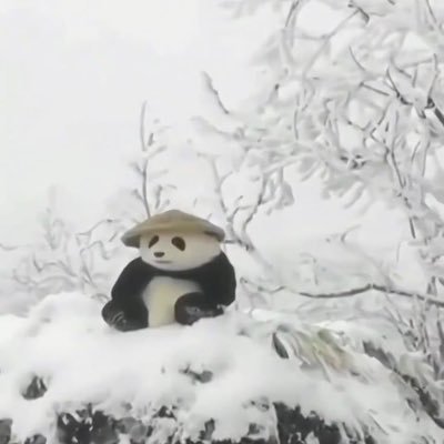 Log100x's profile picture. it’s not over until i win